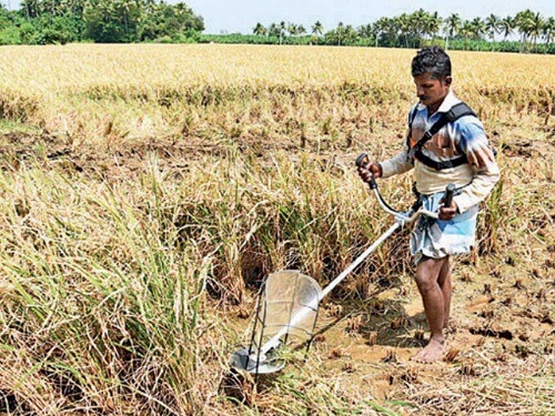 Alternative-crops-should-be-cultivated-in-this-Yasangi-instead-of-paddy:-Siddipet-Collector